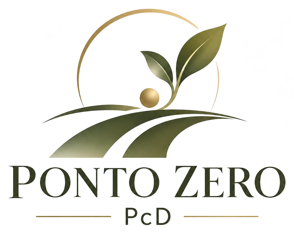 Ponto Zero PcD